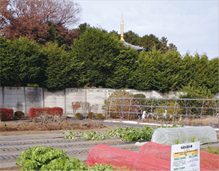 喜多見農業公園から見た風景の写真