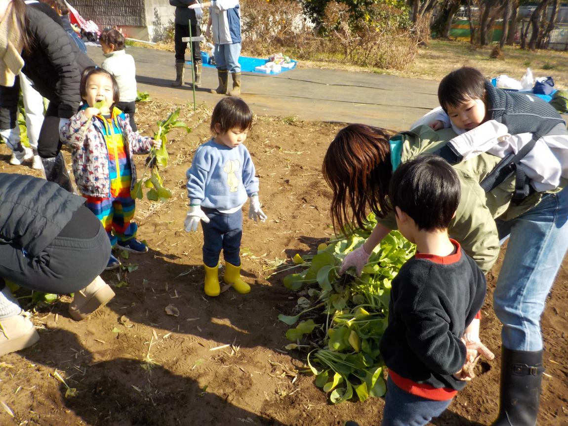 つるっこサークル2