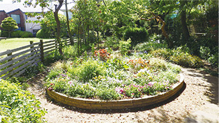 エコガーデンの写真