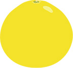 ぼんたんのイラスト