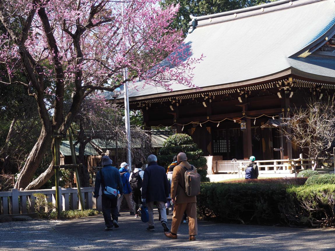 氷川神社参道