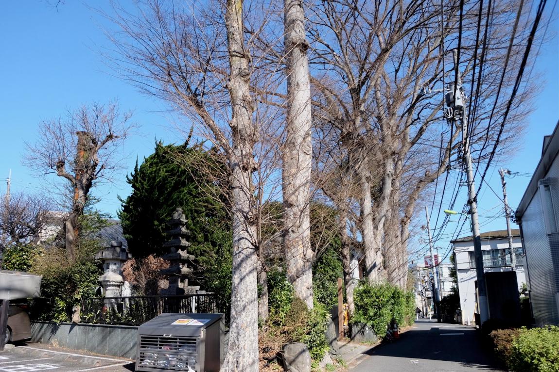 旧にごりや並木