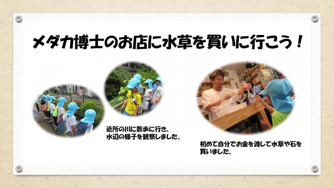 すくわくスライド11