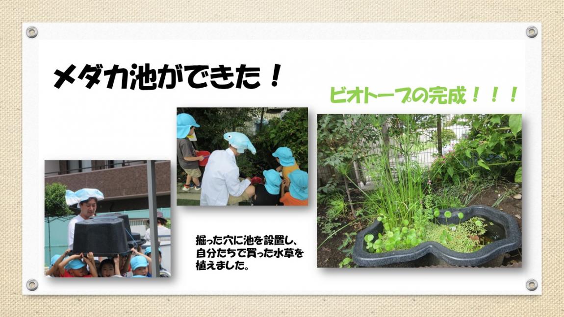 すくわくスライド12