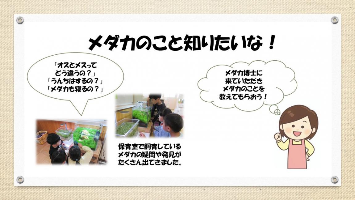 すくわくスライド5