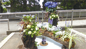 「時の調和（2025年最優秀賞）」の写真