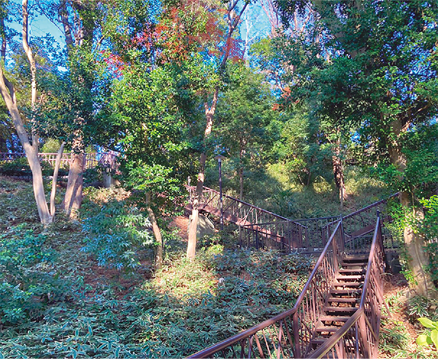 二子玉川公園の写真