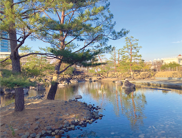 上野毛自然公園の写真