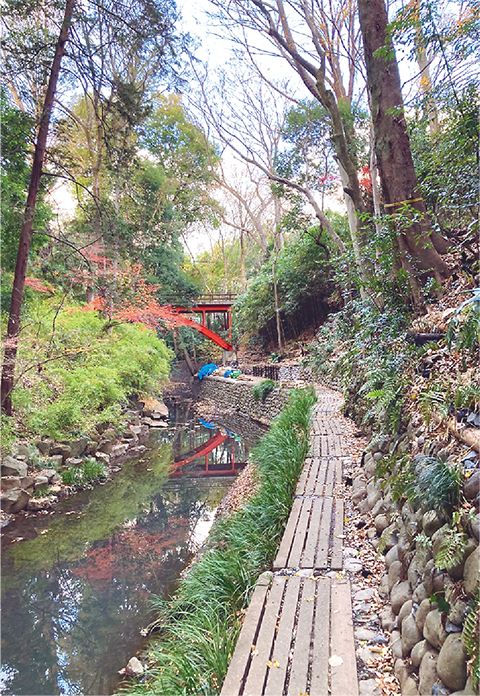 川沿いの園路の写真