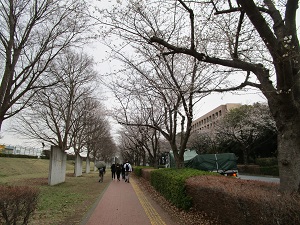 歩こう会の様子1