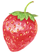 いちごのイラスト