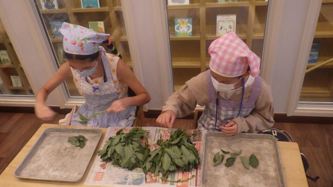 いいほいくえん講座5「モロヘイヤの下準備をしている様子」