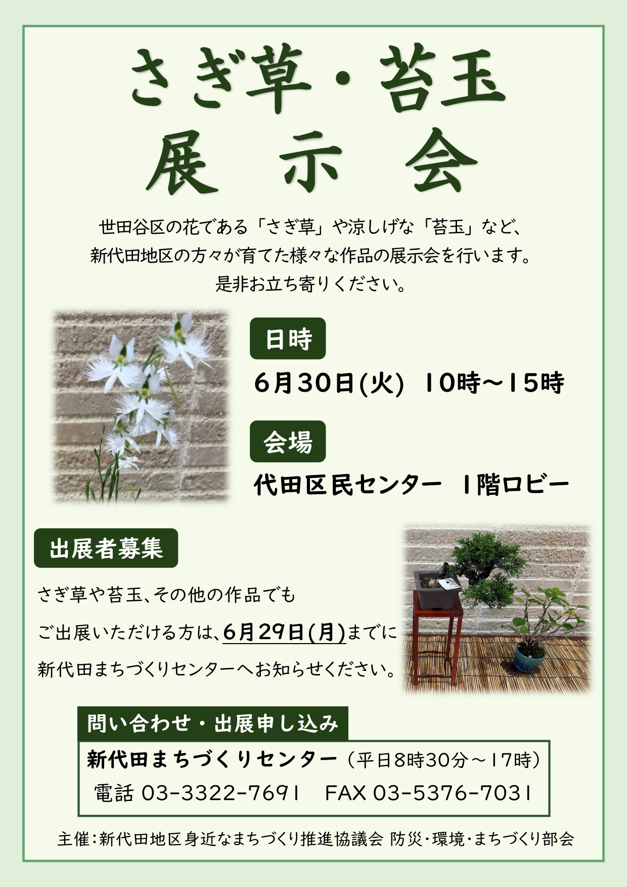 さぎ草・苔玉展示会のチラシ
