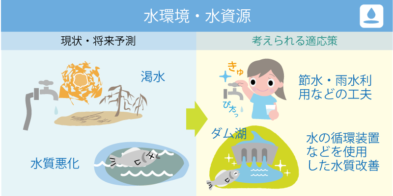 水環境・水資源分野における影響と適応策