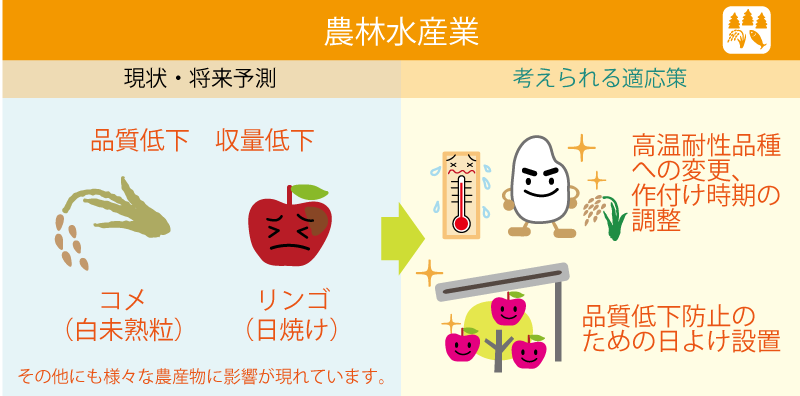 農林水産業の影響と適応策
