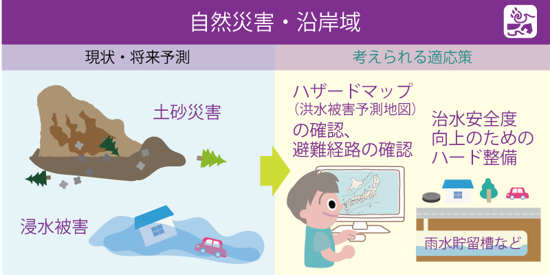 自然災害・沿岸域分野の影響と適応策