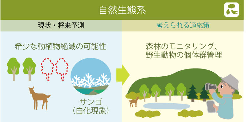 自然生態系の影響と適応策