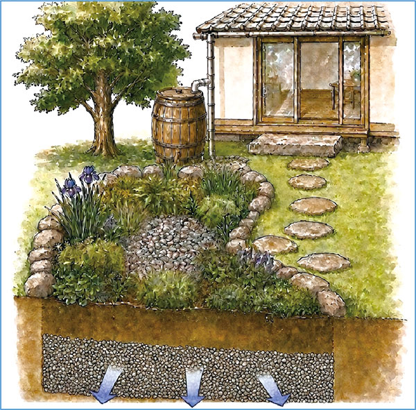 雨庭のイラスト