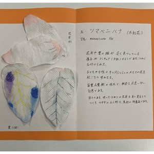 202607にじみ絵1