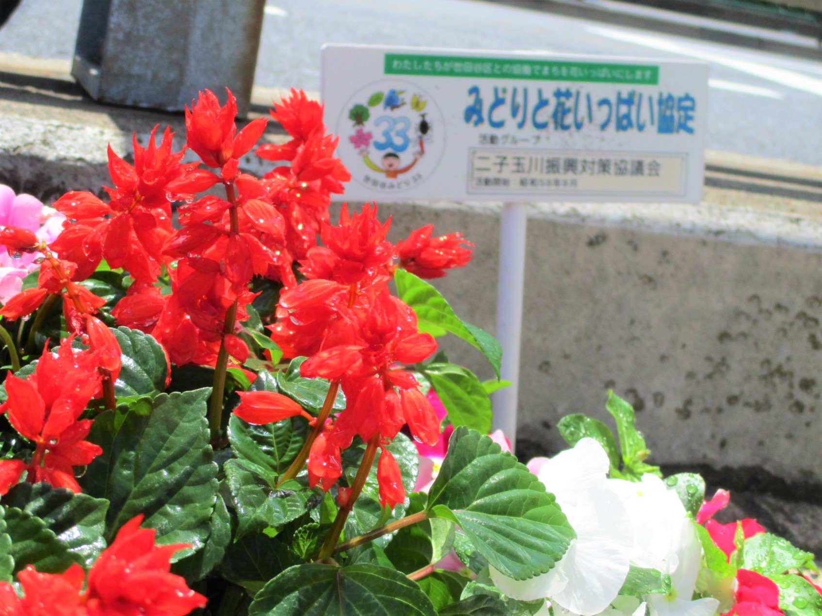 みどりと花いっぱい協定