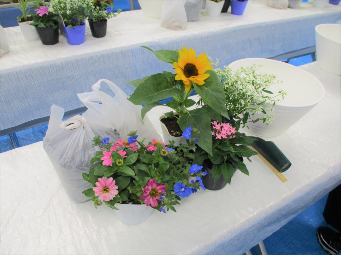 寄せ植えセット