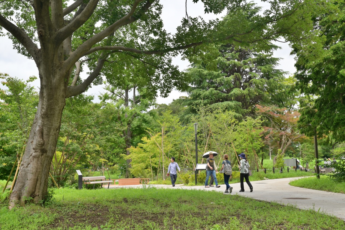 来園者の様子