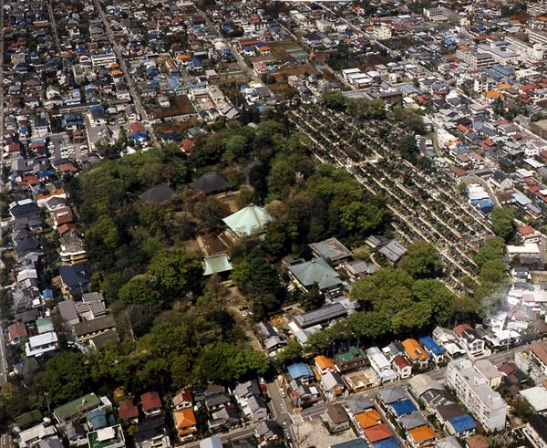 画像：奥沢城跡