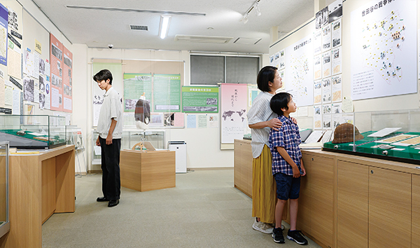 リニューアルした常設展示の写真