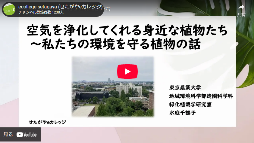 東京農業大学