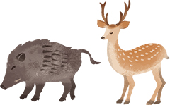 イノシシとシカのイラスト