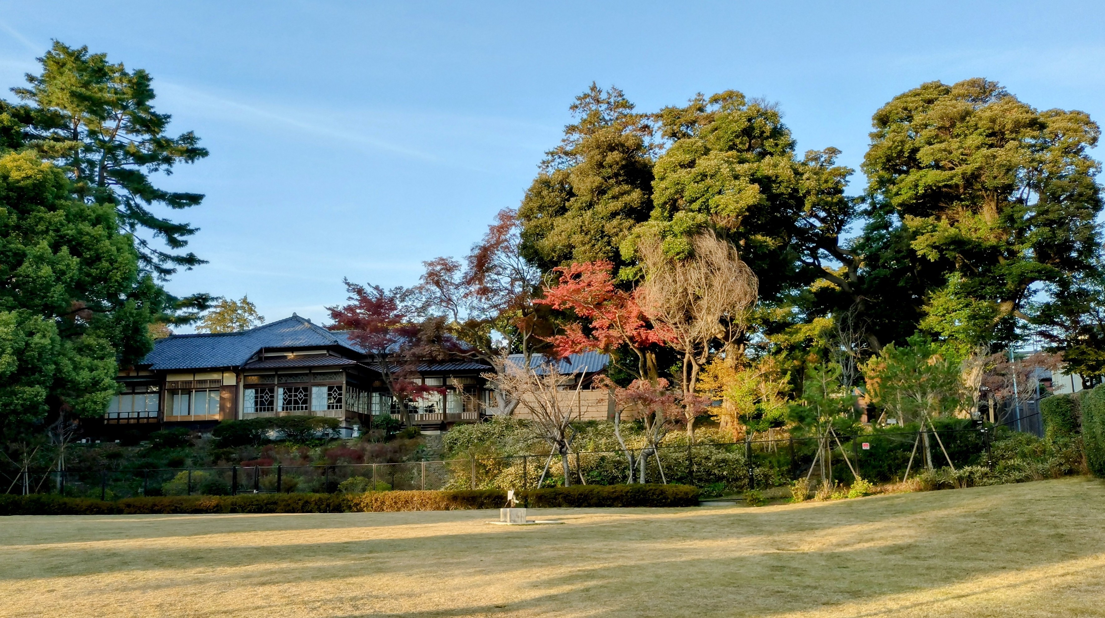 tekigaisou