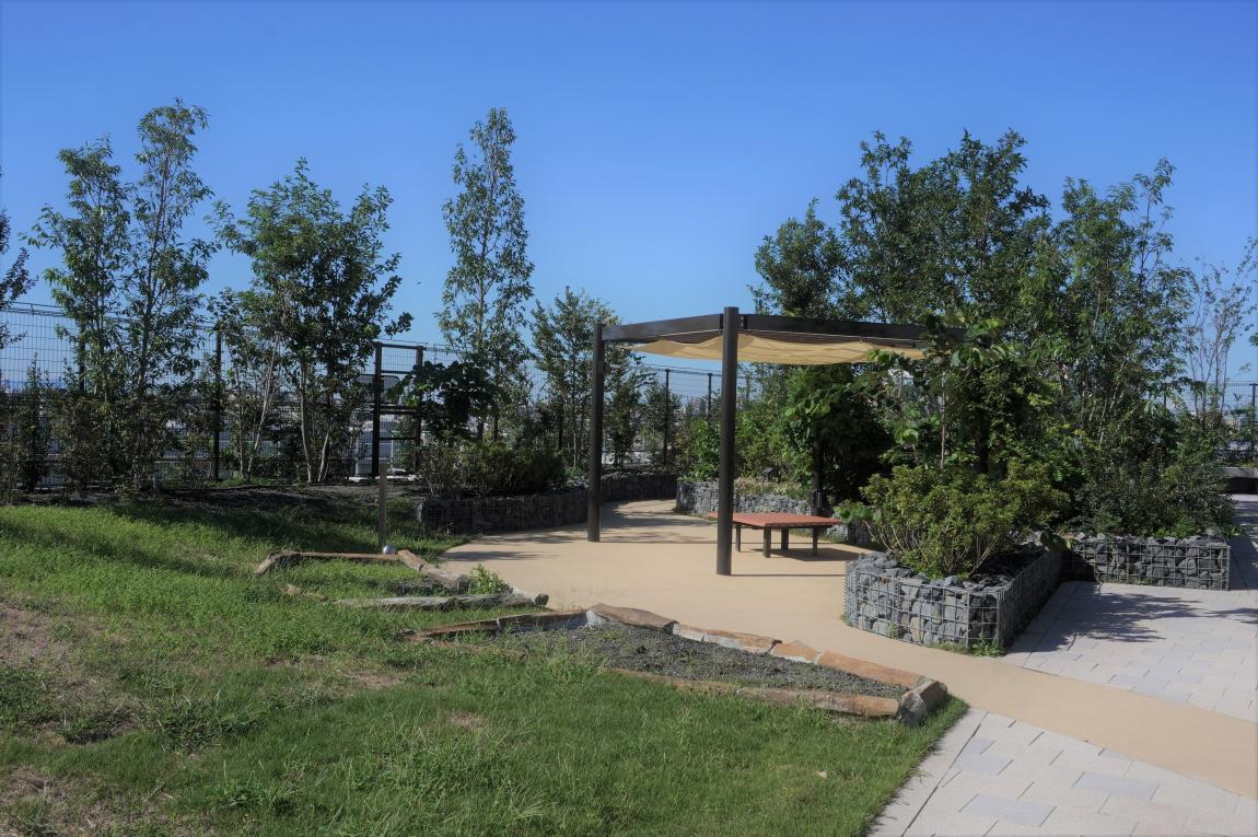 屋上庭園