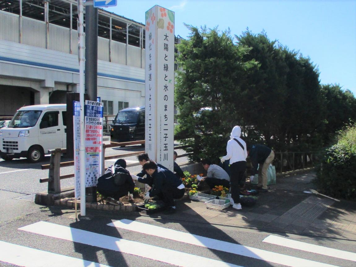 みんなで植えています