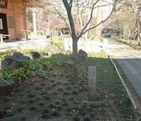 浄真寺