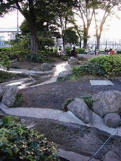 松林と大欅のある世田谷新町公園