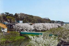 喜多見ふれあい広場から見た「野川と国分寺崖線の纏まった緑」