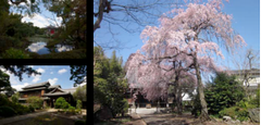 烏山寺町