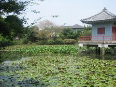烏山弁天池特別保護区