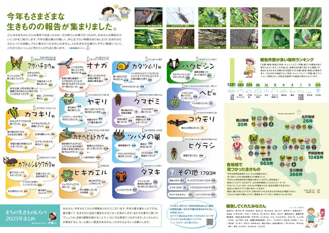 2025ニュースレター裏面