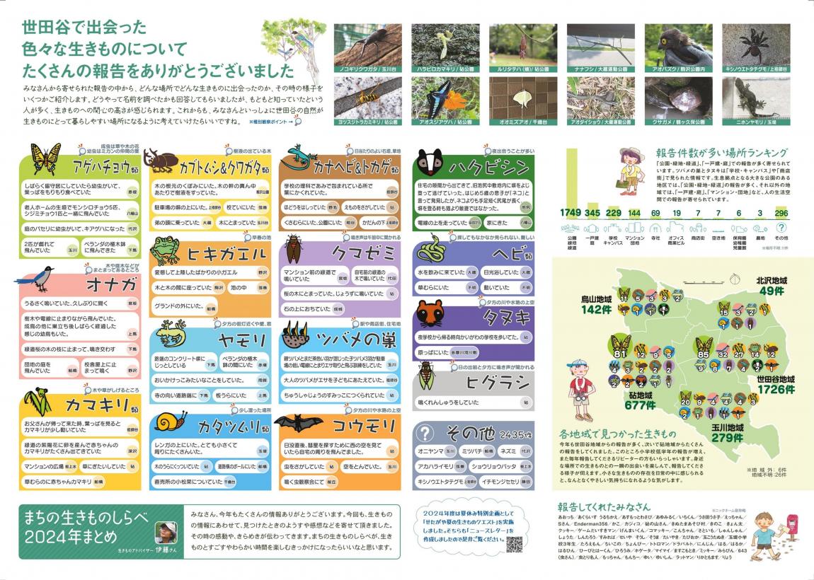 生きものしらべニュースレター裏
