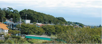 野川から見た国分寺崖線