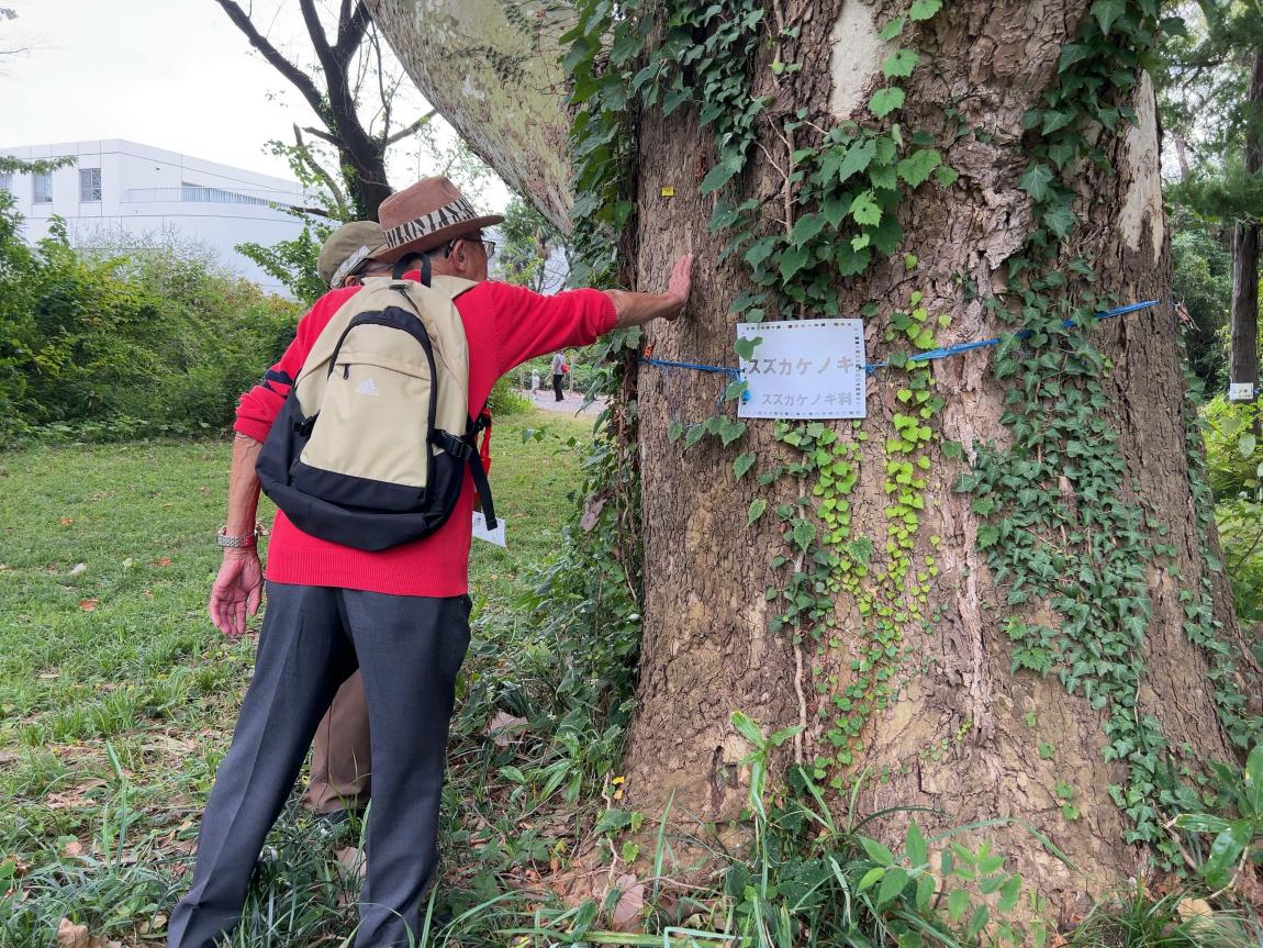 スタンプラリー