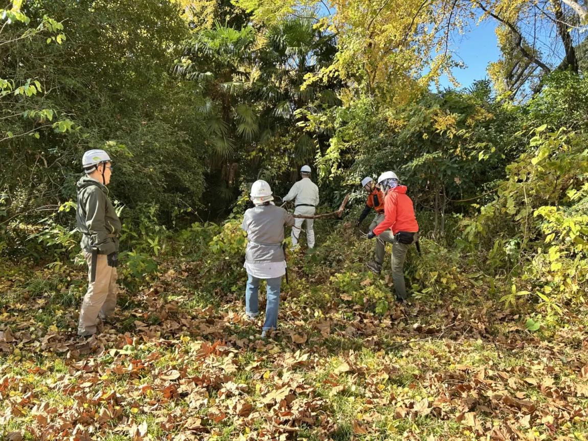 フィールドワークの様子1