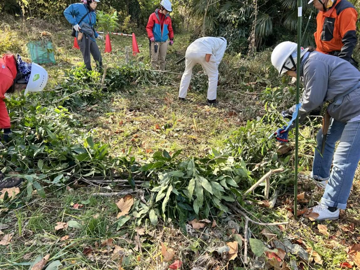 フィールドワークの様子2