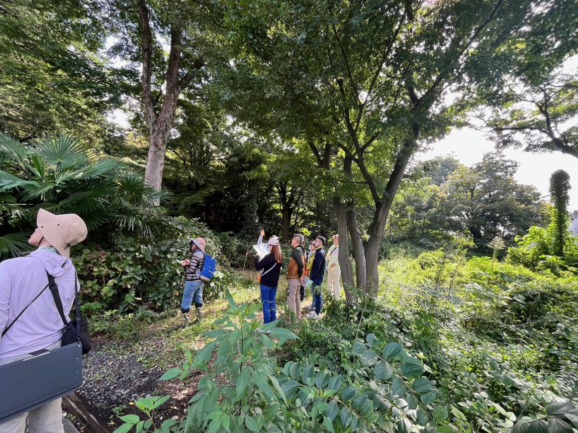 オリエンテーション