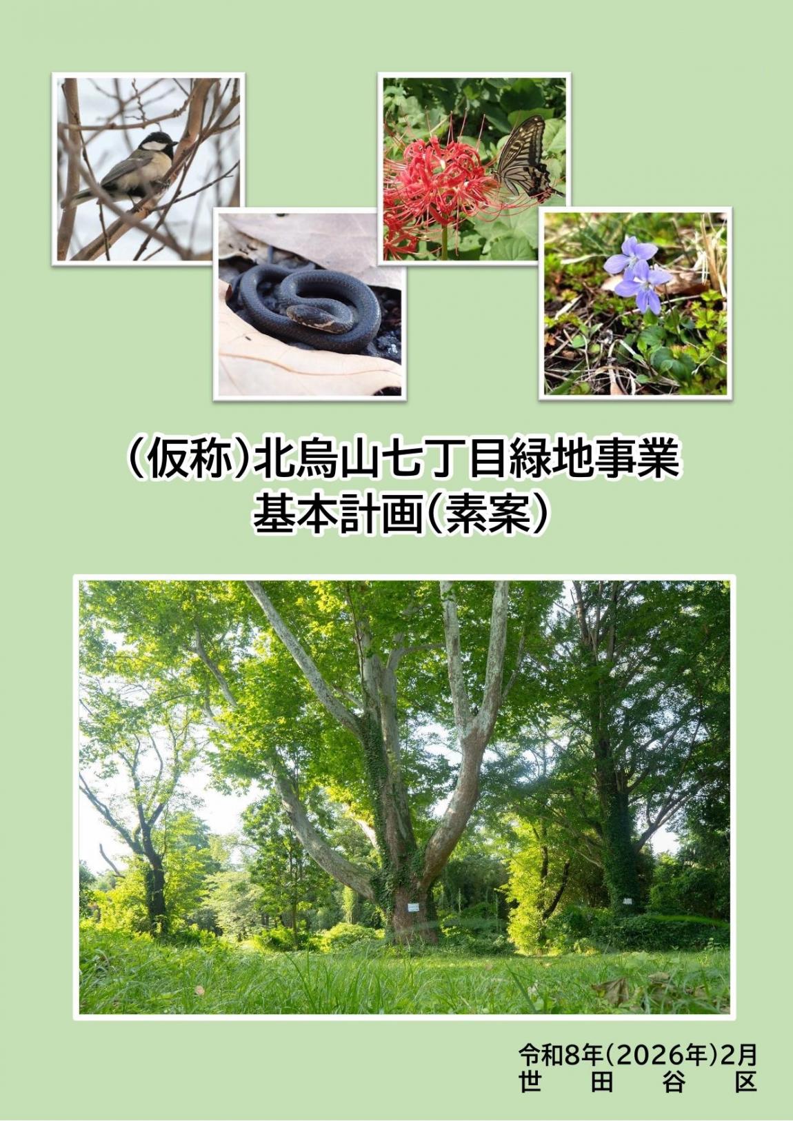 基本計画（素案）表紙