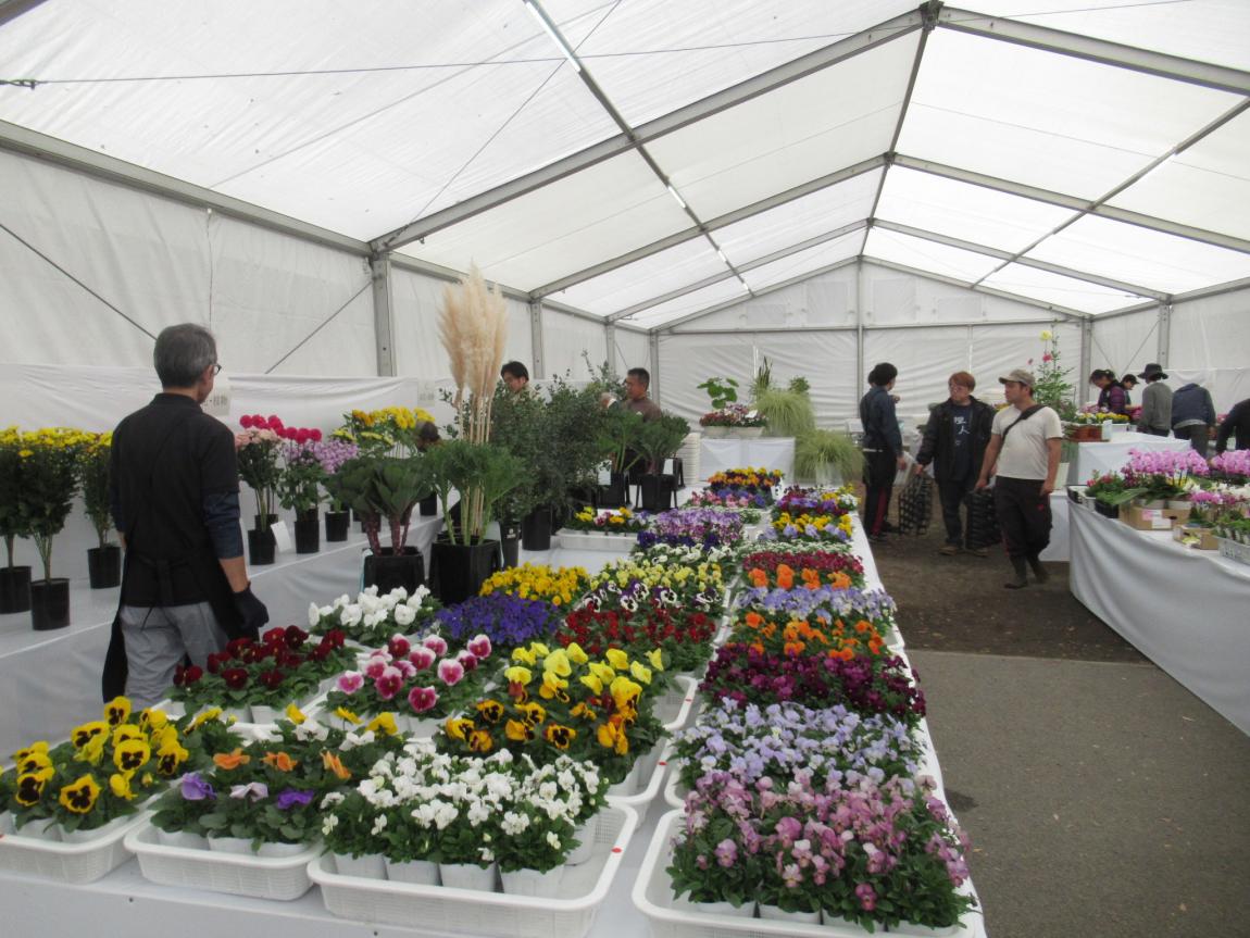 花展覧会の一般観覧の様子