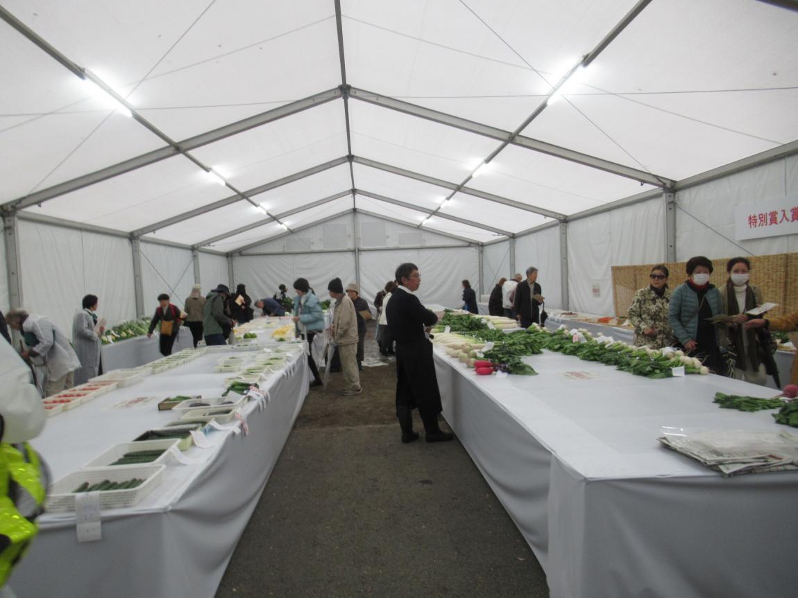 農業祭の一般観覧の様子