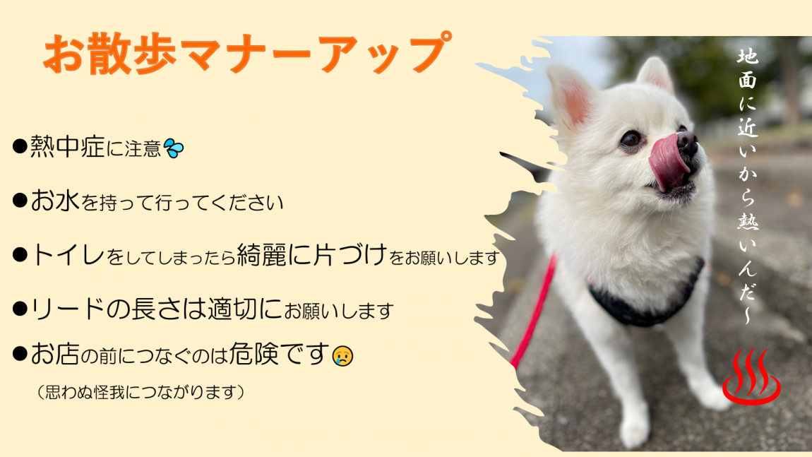 お散歩マナーアップ
