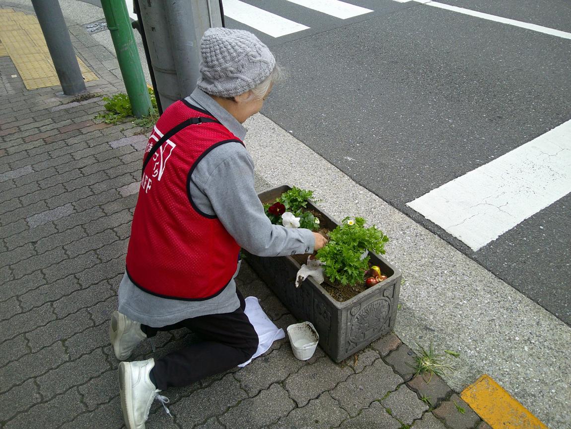等々力駅周辺の植え替えの様子
